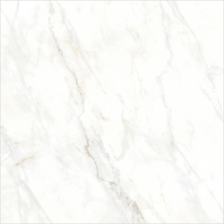 Tile Image