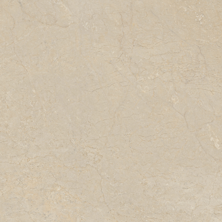 Dynasty Beige