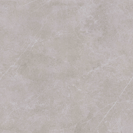 Ardesia Gray